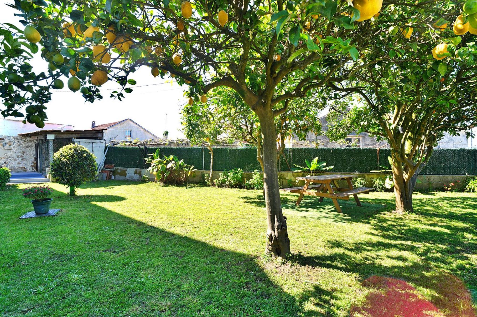 Casa Con Jardin En Vilanova De Arousa ポンテベドラ エクステリア 写真