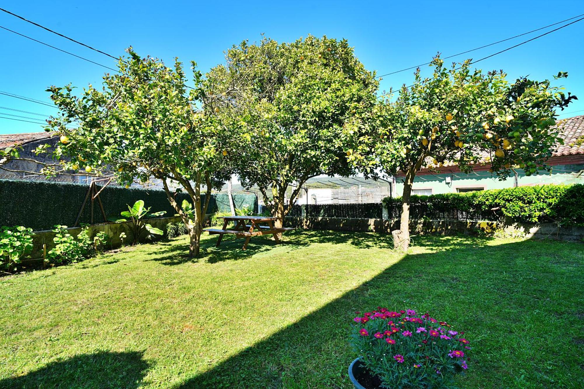 Casa Con Jardin En Vilanova De Arousa ポンテベドラ エクステリア 写真